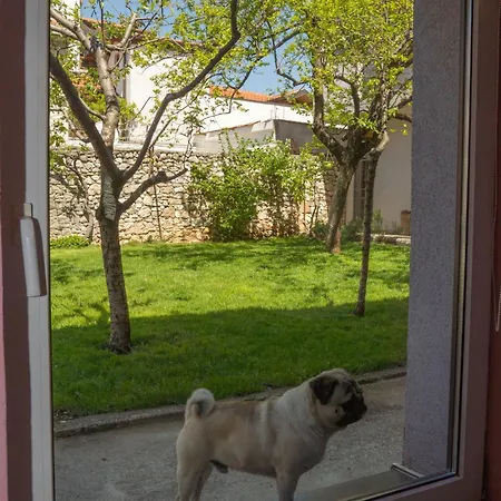 Uno House * Mostar